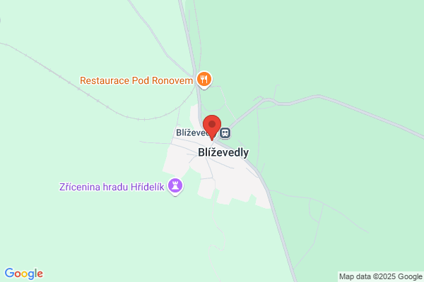 Bizelyd