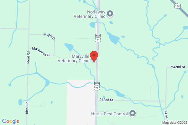 Steve Saunders,Hamilton Veterinary Clinic