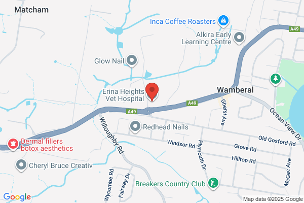 Erina Heights Veterinary Hospital