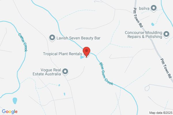 Tropical Plant Rentals