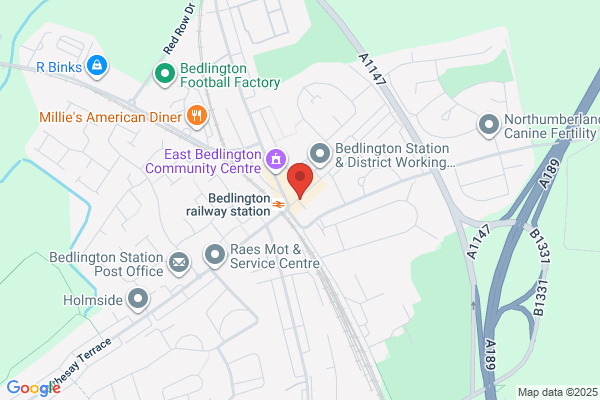 Buddies Pet Supplies