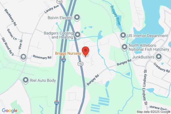 Briggs Nursery