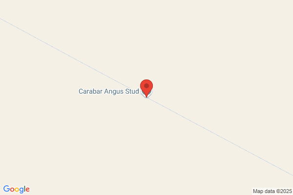 Carabar Angus Stud