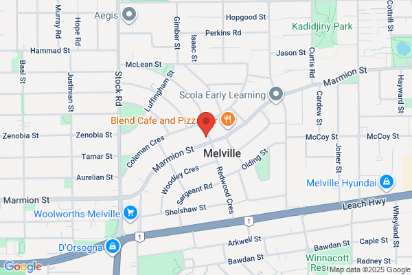 Gemini Medical Services