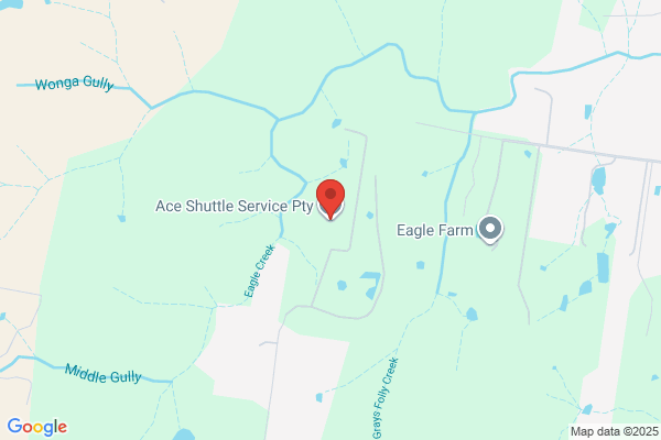 ACE Shuttle Services