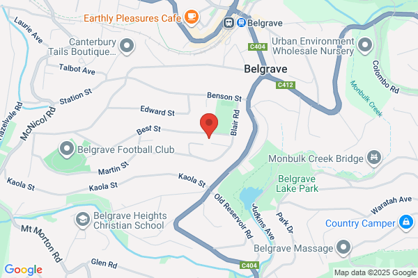 Caerleon Therapy Centre