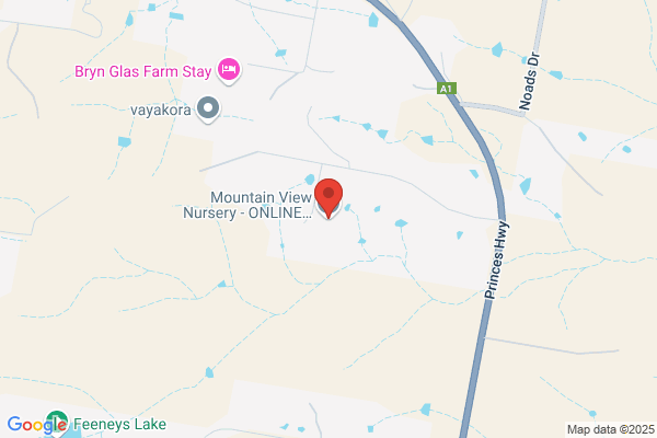 Mountain View Nursery