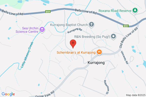 Kurrajong Tree The