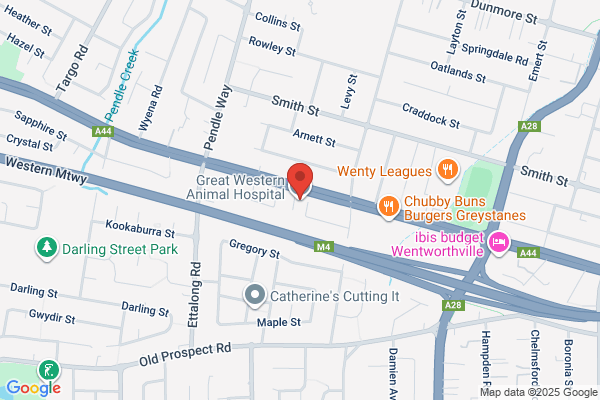 Great Western Animal Hospital