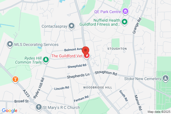 Guildford Fish & Chips