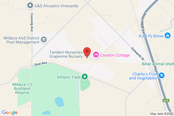 Irymple Grapevine Nursery
