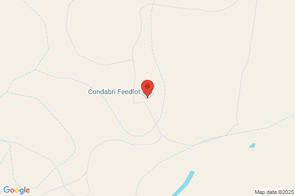 Condabri Feedlot