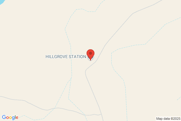 Hillgrove Pastoral Co