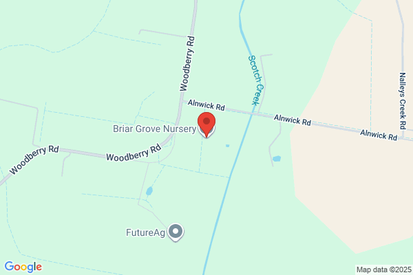 Briar Grove Pty Ltd