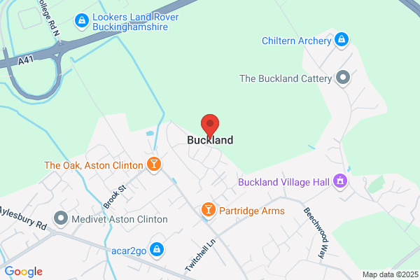 Buckland David
