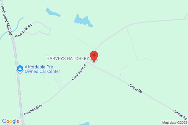 Harvey's Hatchery