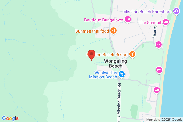 Cassowary Coast Tree Service