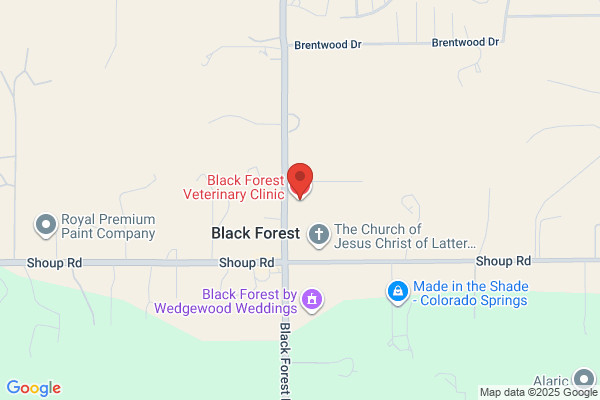 Black Forest Veterinary Surgery