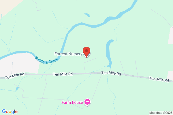 Fern Forest Nursery The