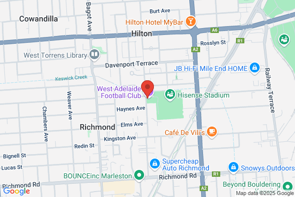 Billiards, Snooker & Pool Association of NSW