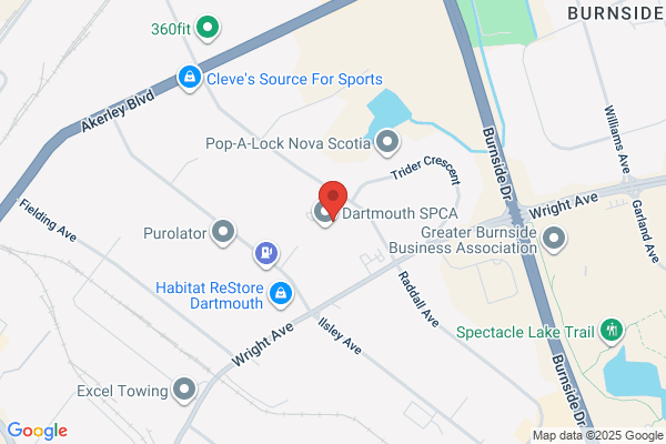 Eastern Suburbs Plumbing
