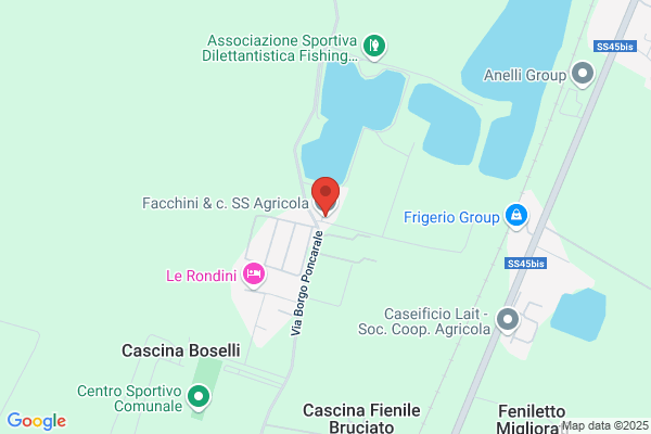 Facchini F J