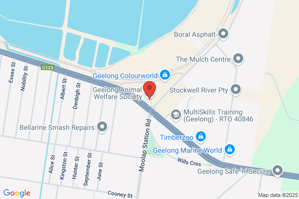 Geelong Animal Welfare Society