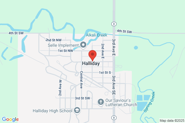 Halliday Ann