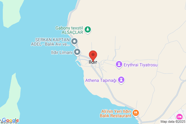 Ildiri Health Services