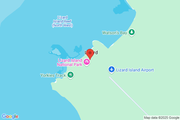 AAA1 LAZY LIZARD AUSTRALIA