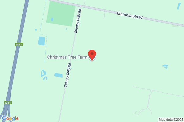 Christmas Tree Farm