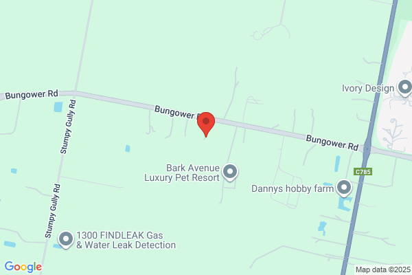 Judy Banks School Of Television
