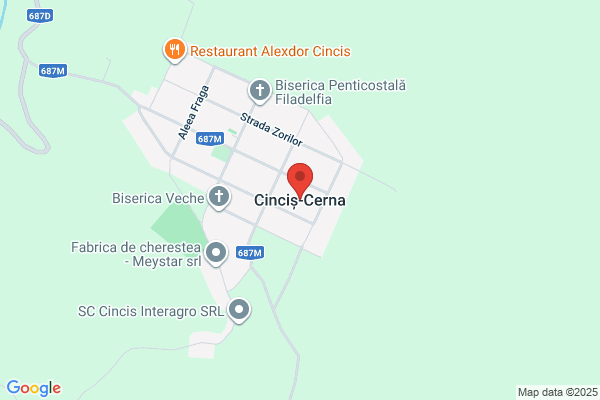 Cincis