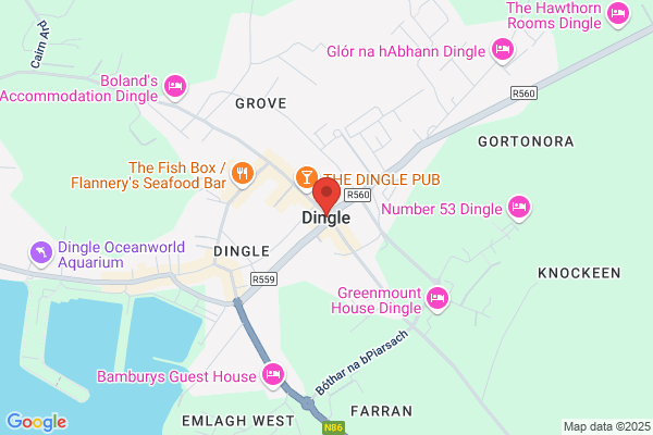 Dingle P J