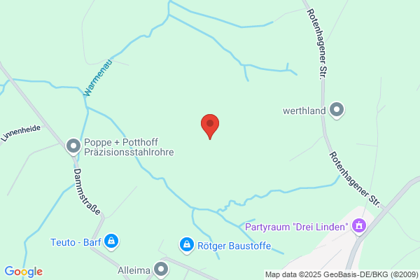 Auto Steering Engineering