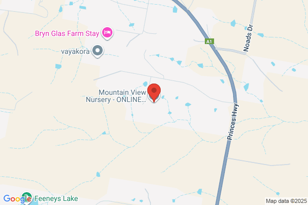 Mountain View Nursery