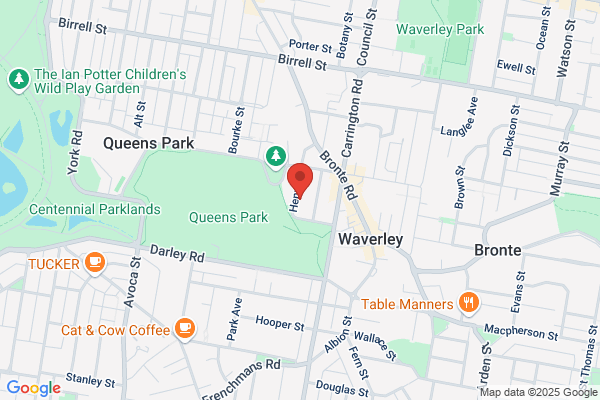 Gray David Dr