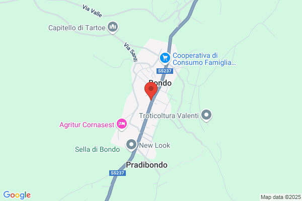Bonenti Property
