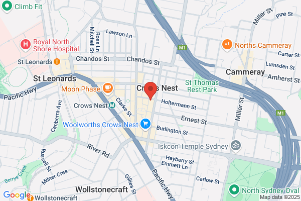 Garfish