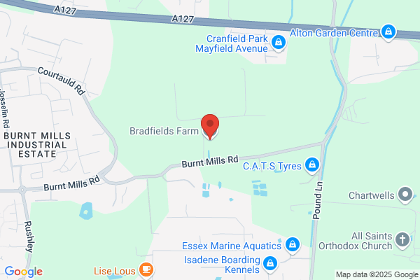 Bradfield Mills