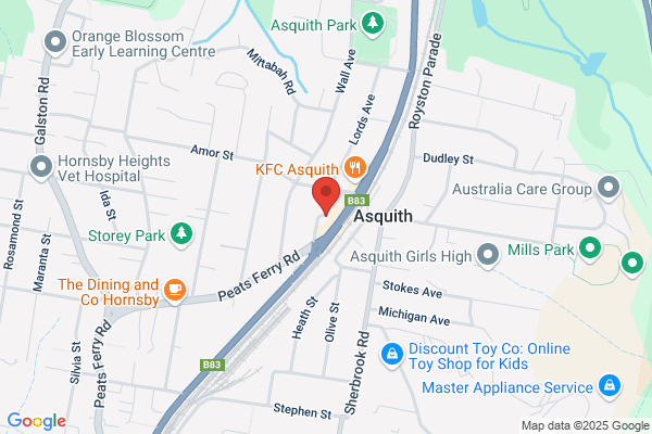 Aquariums At Asquith