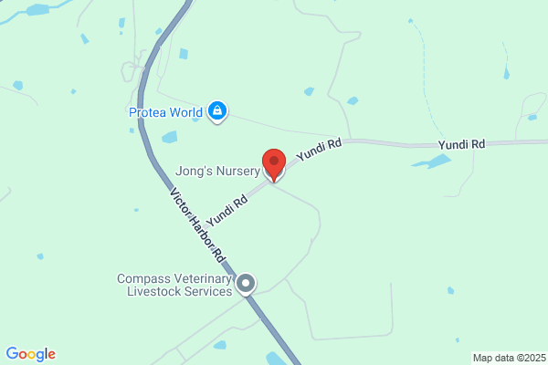 Jongs Nursery