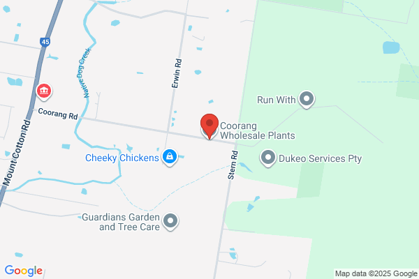 Coorang Wholesale Plants