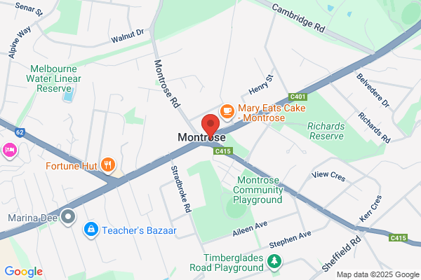 Bears Tree Removals