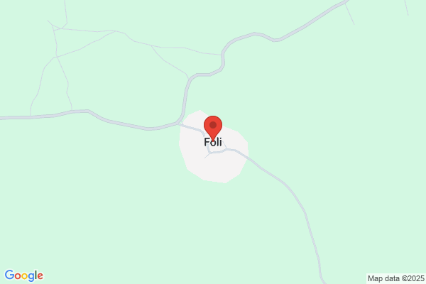 Foli8