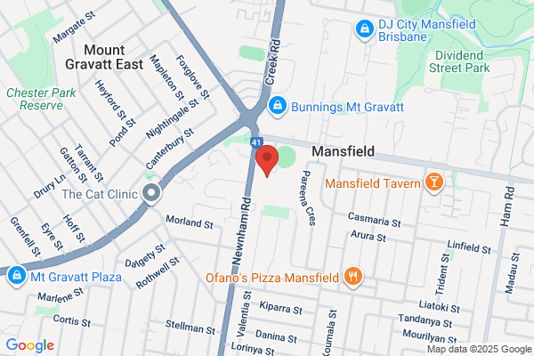 Mount Gravatt East State School