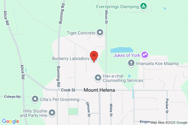Amhurst Kennels