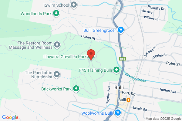 Illawarra Grounds & Surrounds