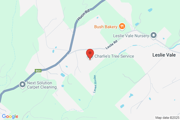 Charlie's Tree Service