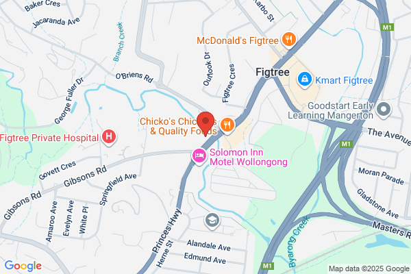 Figtree Auto Electrics